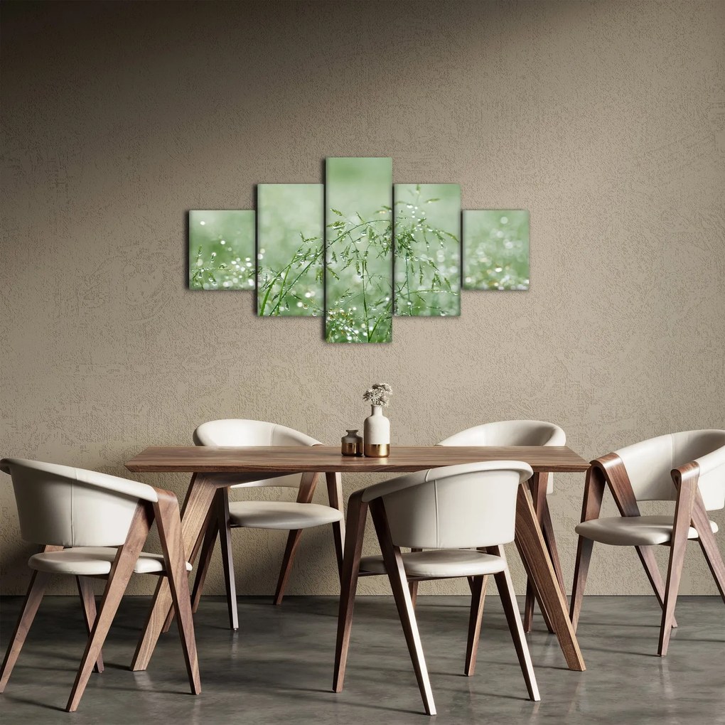 Obraz - Rosa na trawie (125x70 cm)