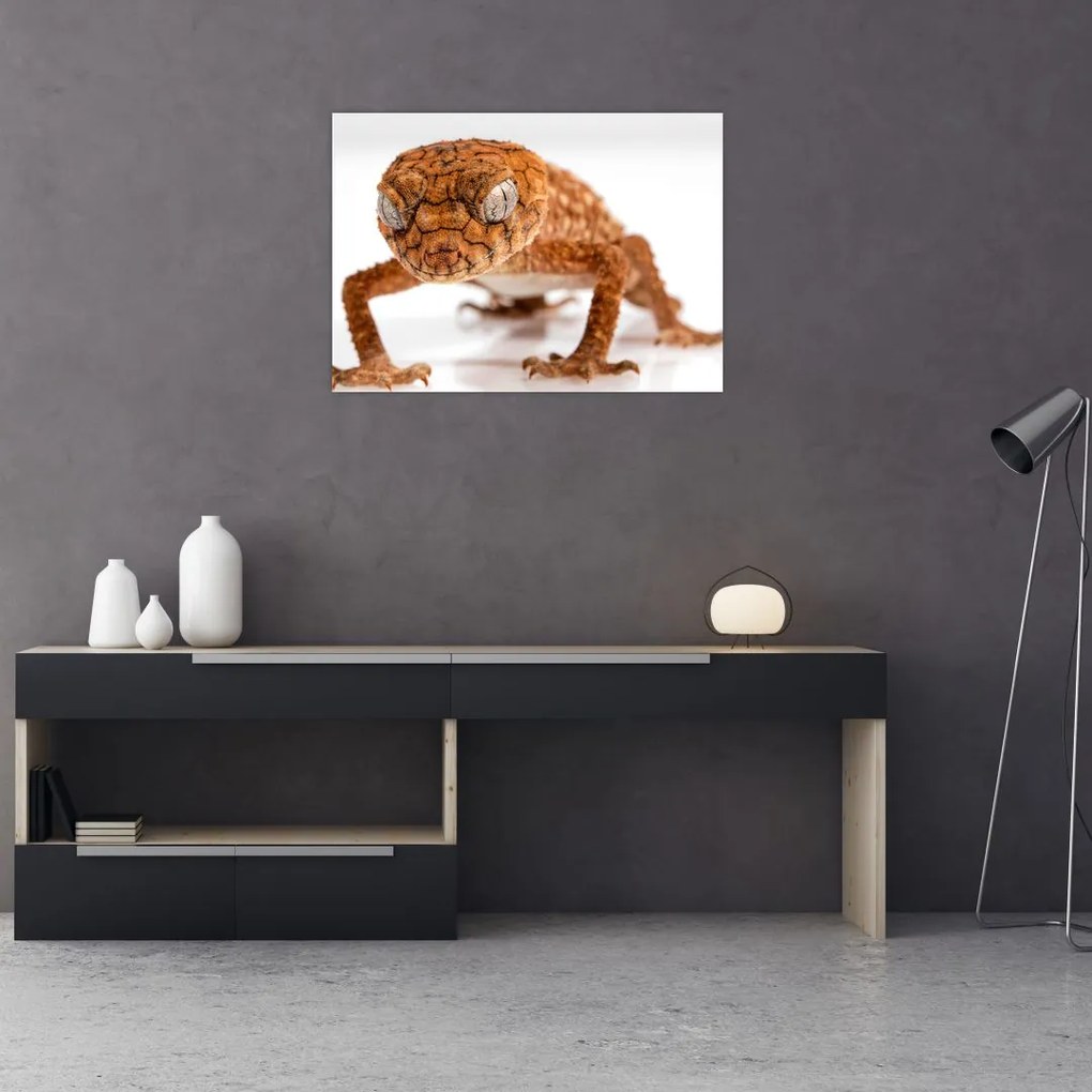 Obraz na szkle jaszczurki (70x50 cm)