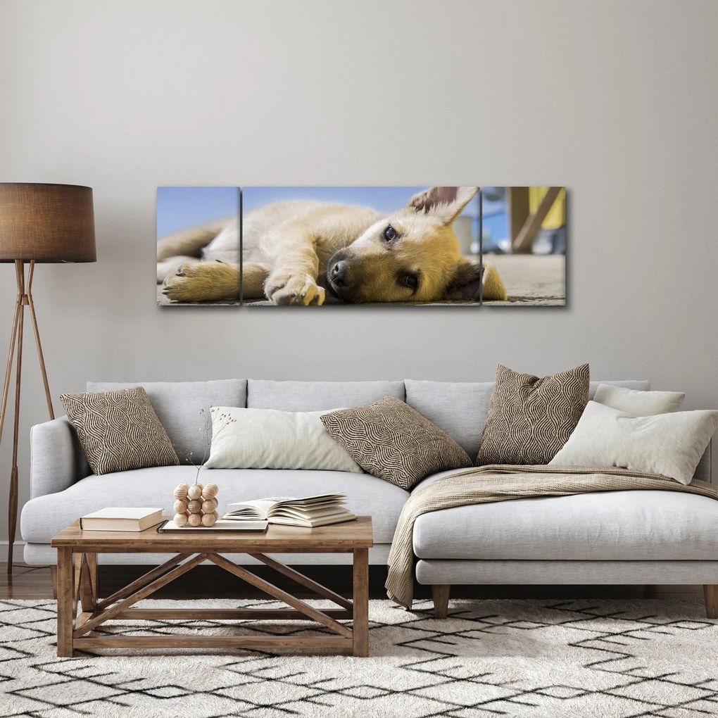 Obraz leżącego szczeniaka (170x50 cm)