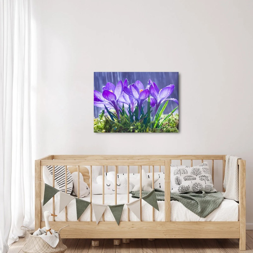 Obraz kwiatów w deszczu (70x50 cm)