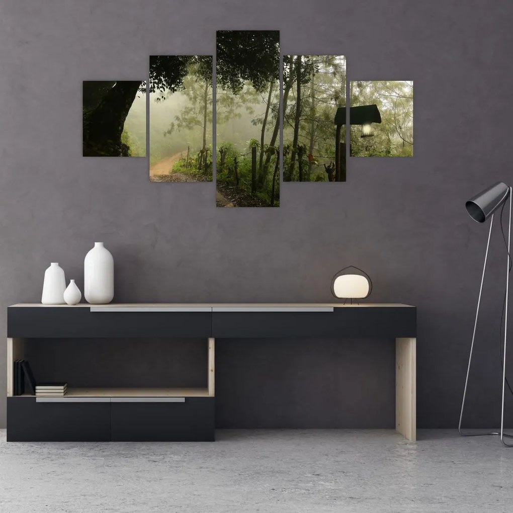 Obraz porannej mgły (125x70 cm)