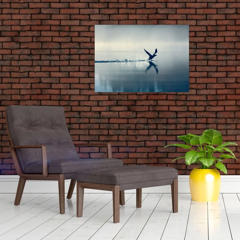 Obraz - Nury (70x50 cm)