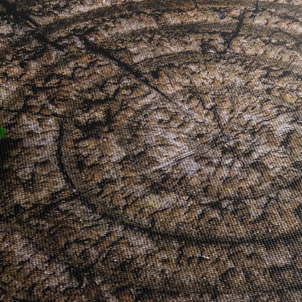 Obraz liścia na pniu drzewa (z zegarem) (90x30 cm)