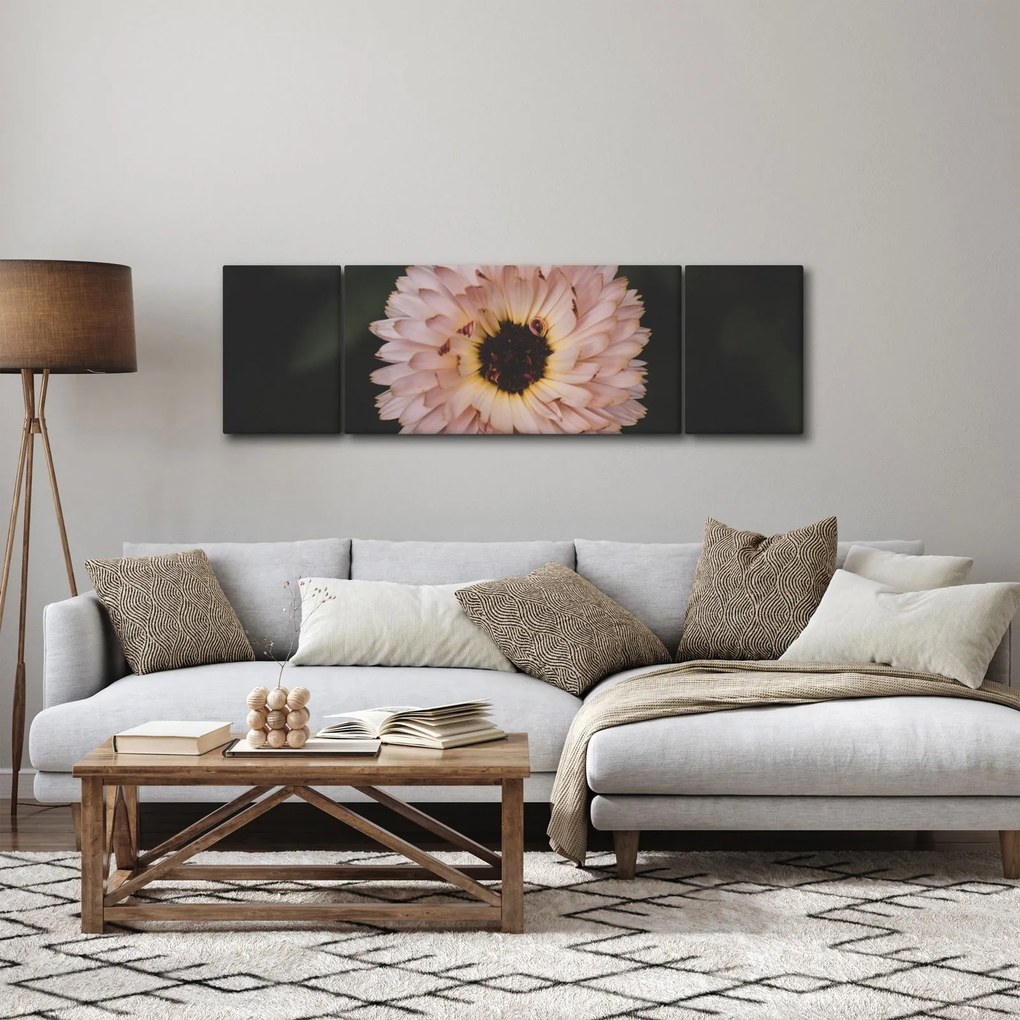 Obraz pomarańczowego kwiatu (170x50 cm)