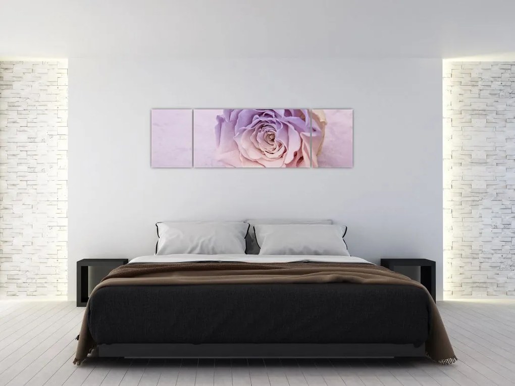 Obraz szczegółu kwiatu róży (170x50 cm)