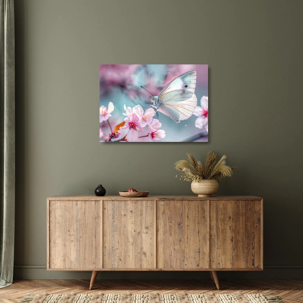 Obraz na szkle - Motyl na drzewie wiśni (70x50 cm)