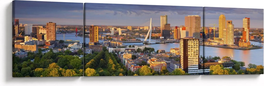 Obraz - Panorama Rotterdamu, Holandia (170x50 cm)