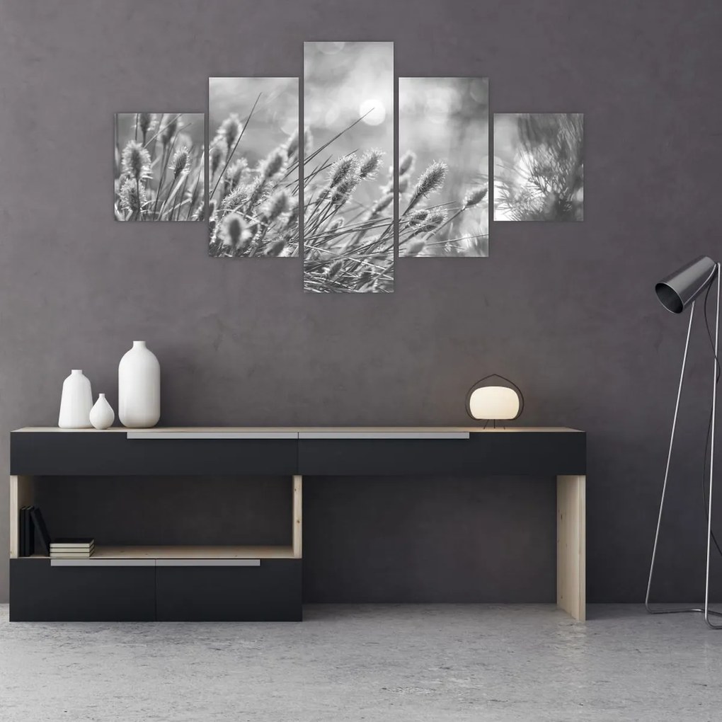 Obraz - Beżowa miękka trawa N⁰1 (125x70 cm)