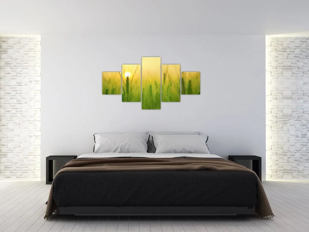 Obraz pola ze zbożem (125x70 cm)