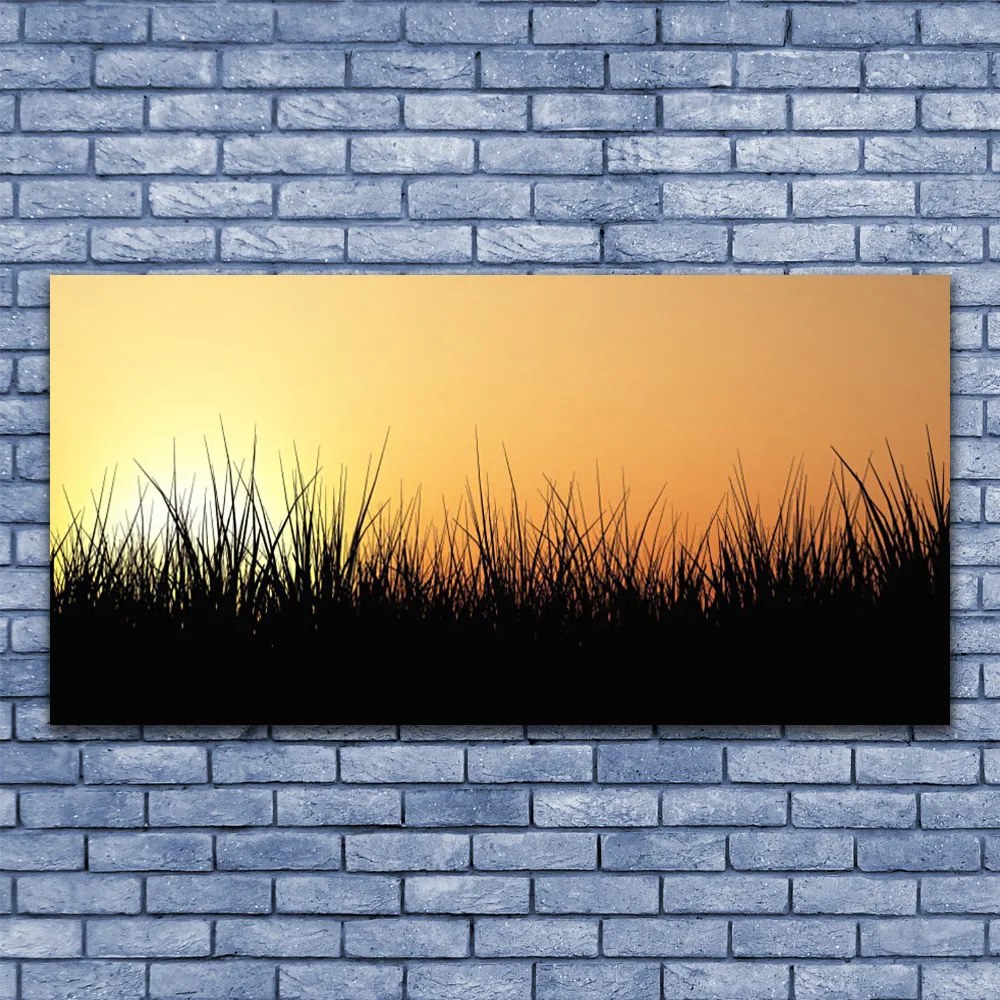 Obraz na płótnie Świeżość Zielonych Pędów