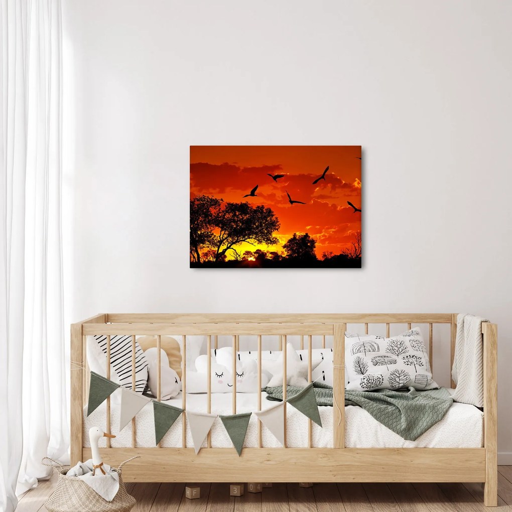 Obraz ptaków o zachodzie słońca (70x50 cm)