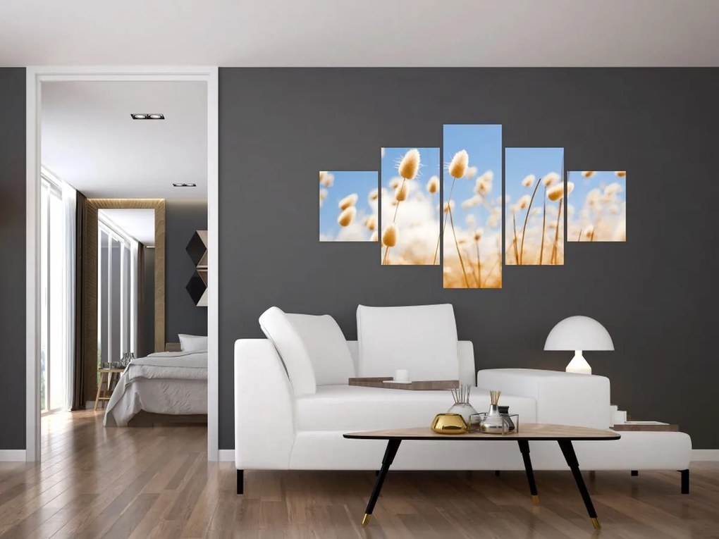 Obraz - Złote pole (125x70 cm)