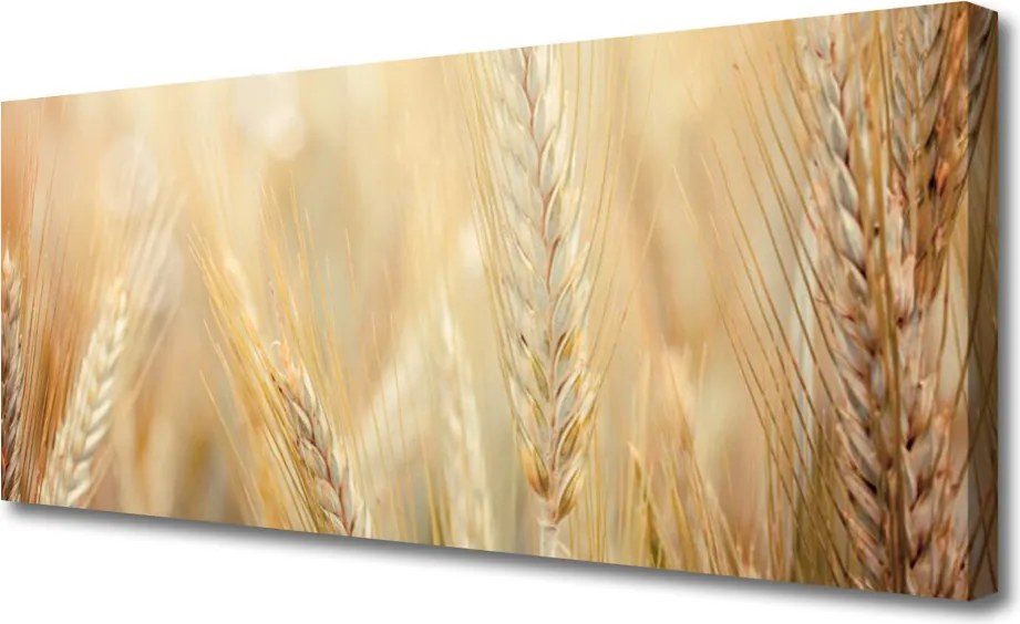Obraz canvas Łany Złotej Pszenicy