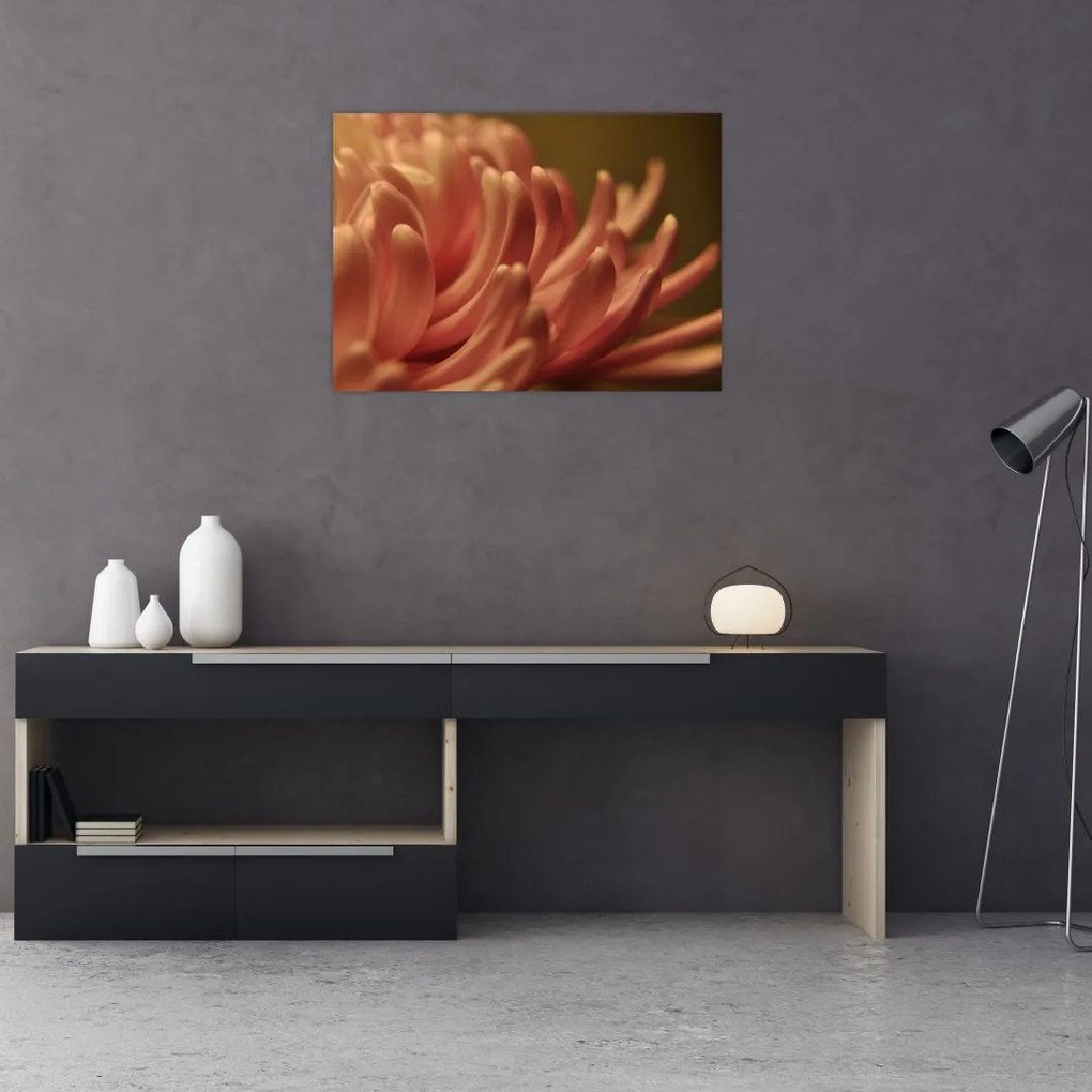 Obraz na szkle szczegółów kwiatu (70x50 cm)
