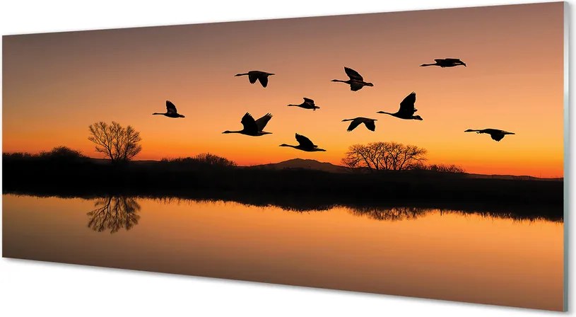 Szkło do Kuchni na Ścianę Lot Ptaków o Zachodzie Słońca