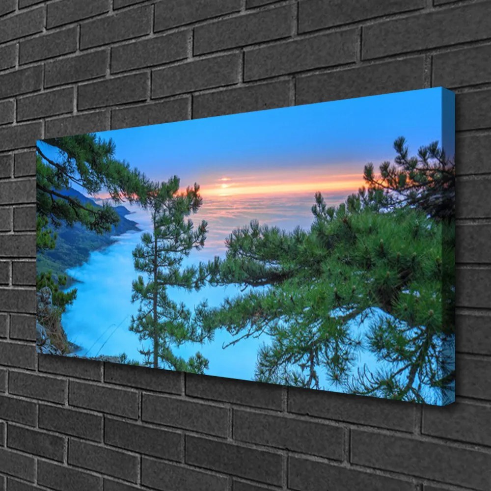 Obraz na płótnie Majestatyczne Drzewa w Lesie