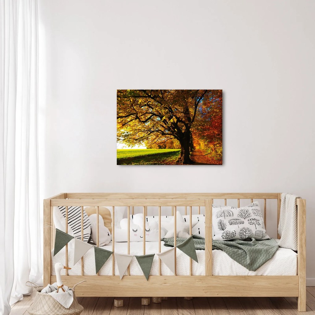Obraz jesieni (70x50 cm)