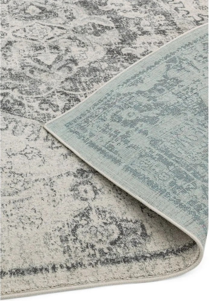 Szary/kremowy dywan 160x230 cm Nova – Asiatic Carpets