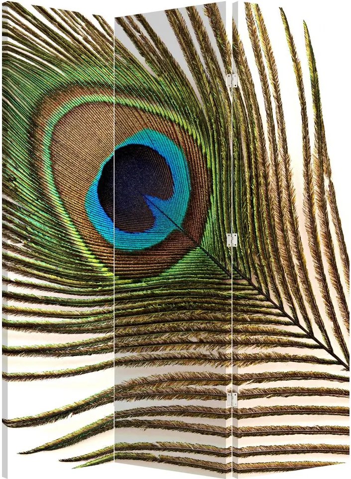 Parawan - Pawie pióra (126x170 cm)