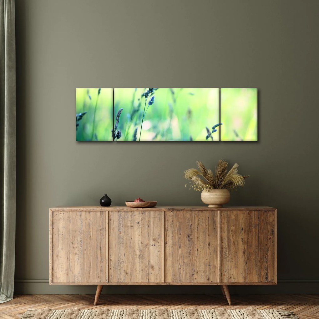 Obraz - Szczegół łąki (170x50 cm)