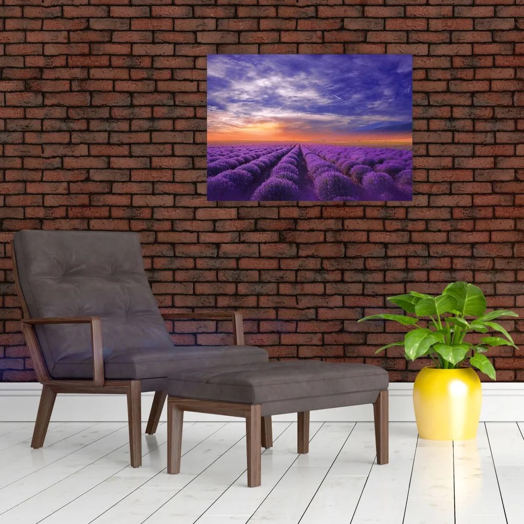 Obraz na szkle lawendowego pola (70x50 cm)