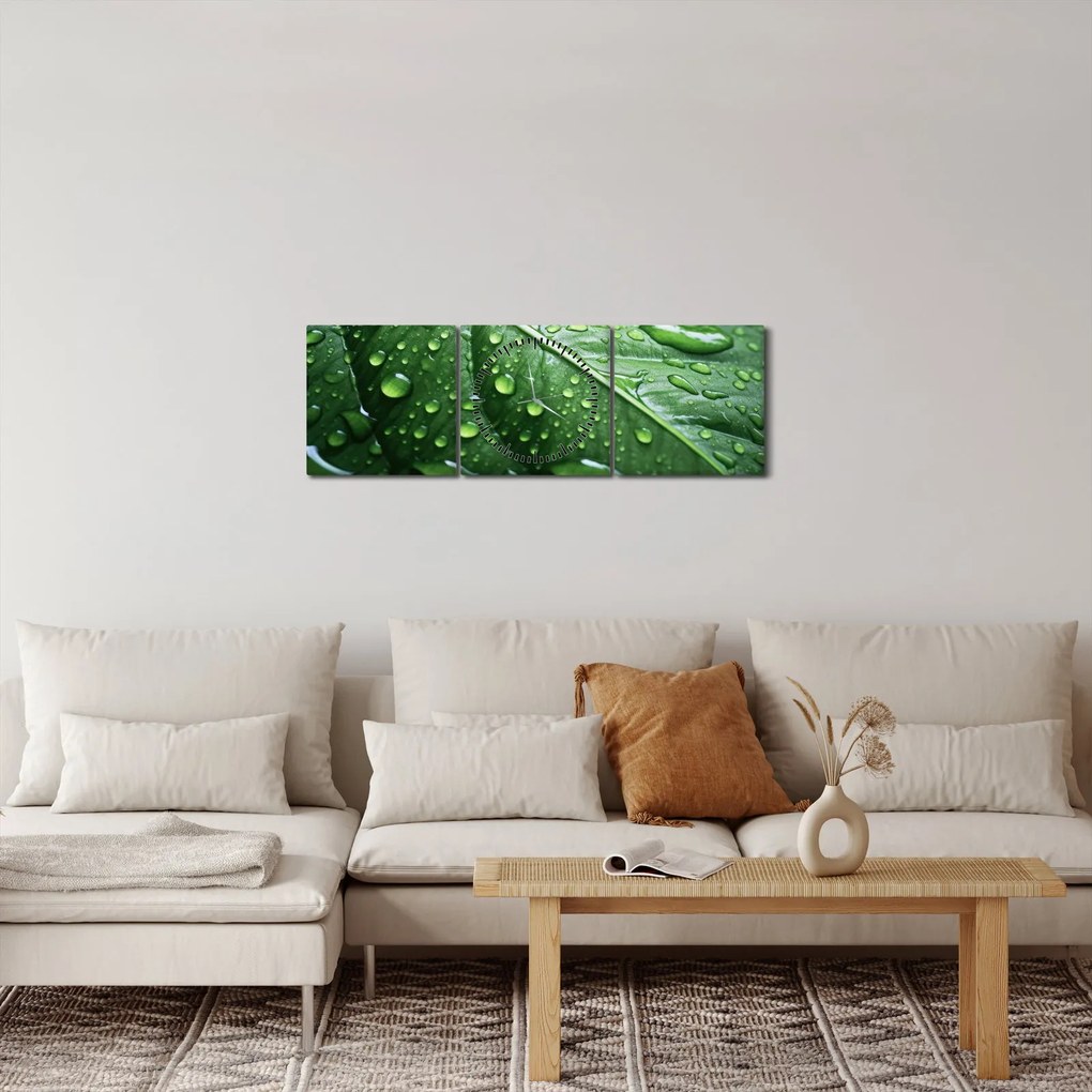Obraz - Szczegół liścia po deszczu (z zegarem) (90x30 cm)