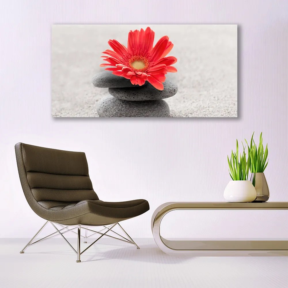 Obraz canvas Radosna Gerbera w Detalu