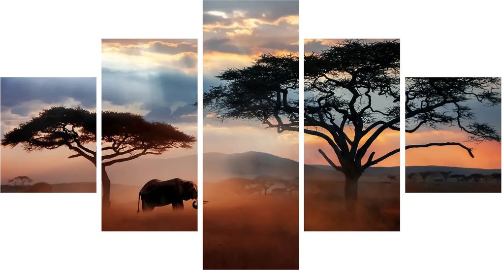 Obraz - Park Narodowy Serengeti, Tanzania, Afryka (125x70 cm)