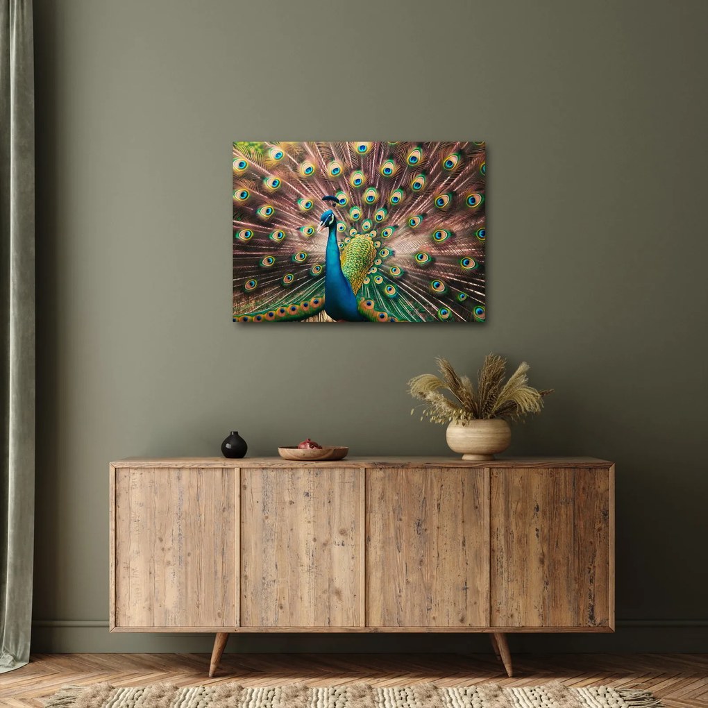 Obraz - Paw (70x50 cm)