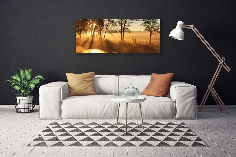 Obraz na płótnie Leśna Gęstwina Drzew