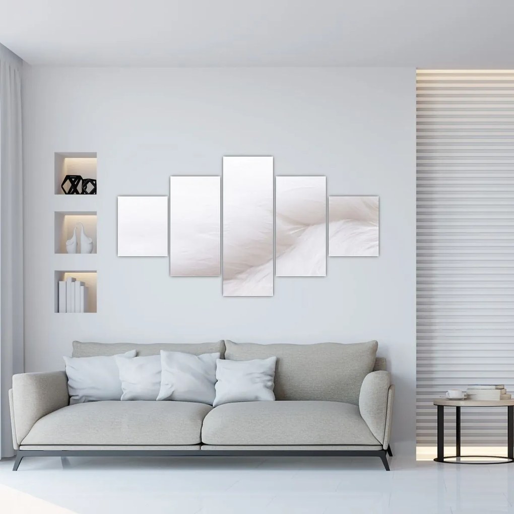 Obraz - Białe pióro (125x70 cm)