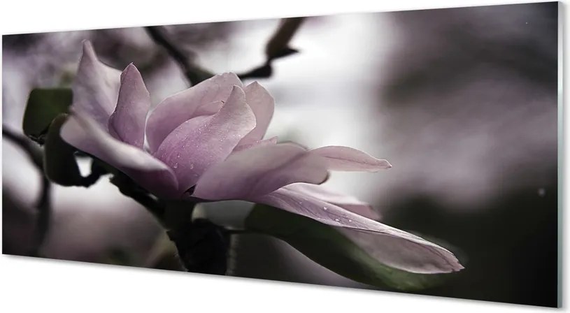 Szklany Panel Kwiat Magnolii
