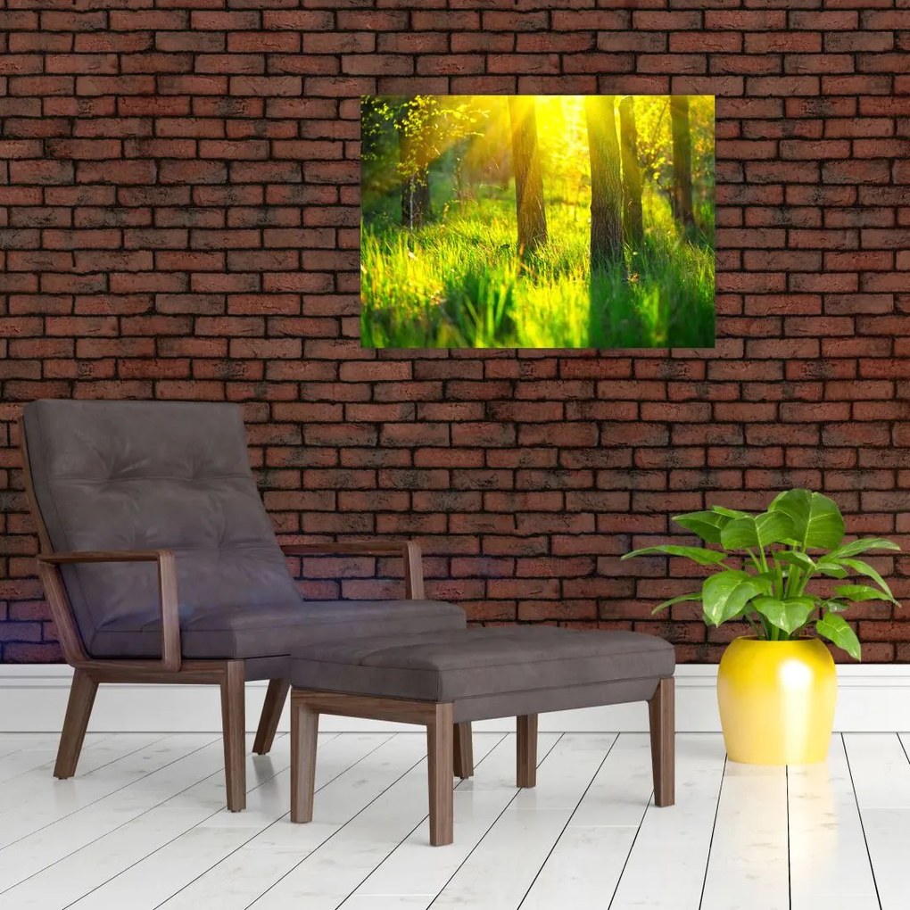 Obraz - Wiosenne przebudzenie lasu (70x50 cm)