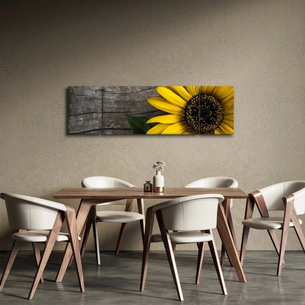 Obraz - Kwiat słonecznika (170x50 cm)