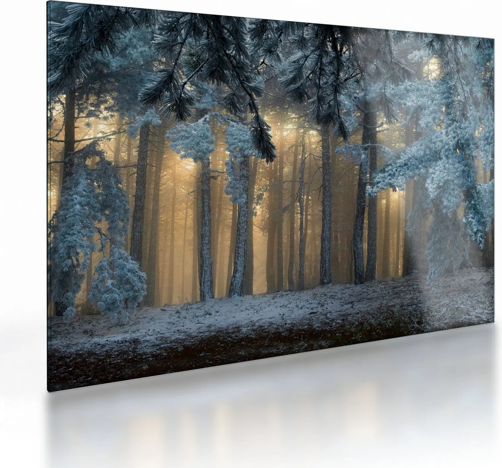 Obraz na szkle zaśnieżonego lasu (70x50 cm)