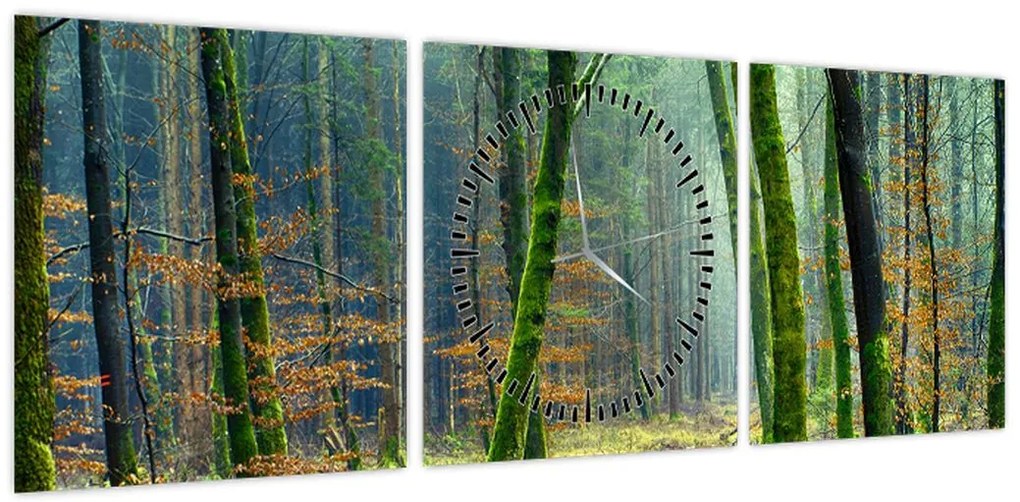 Obraz lasu (z zegarem) (90x30 cm)