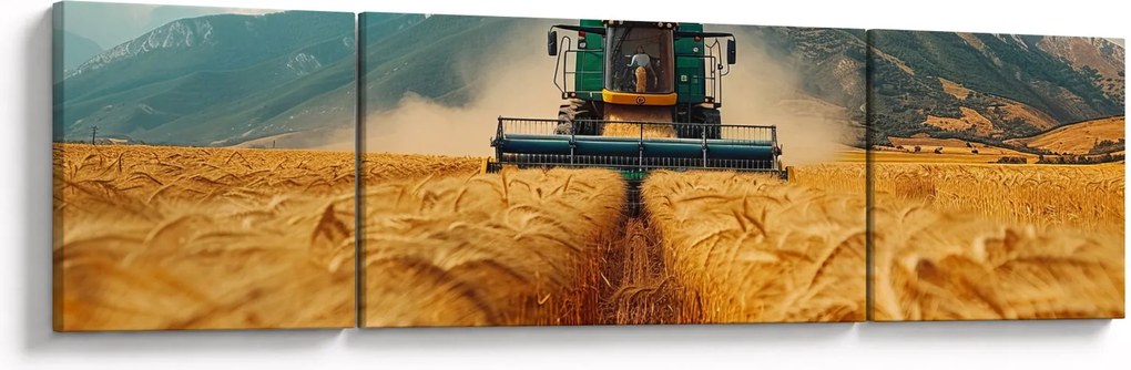 Obraz - Zemedelec (170x50 cm)