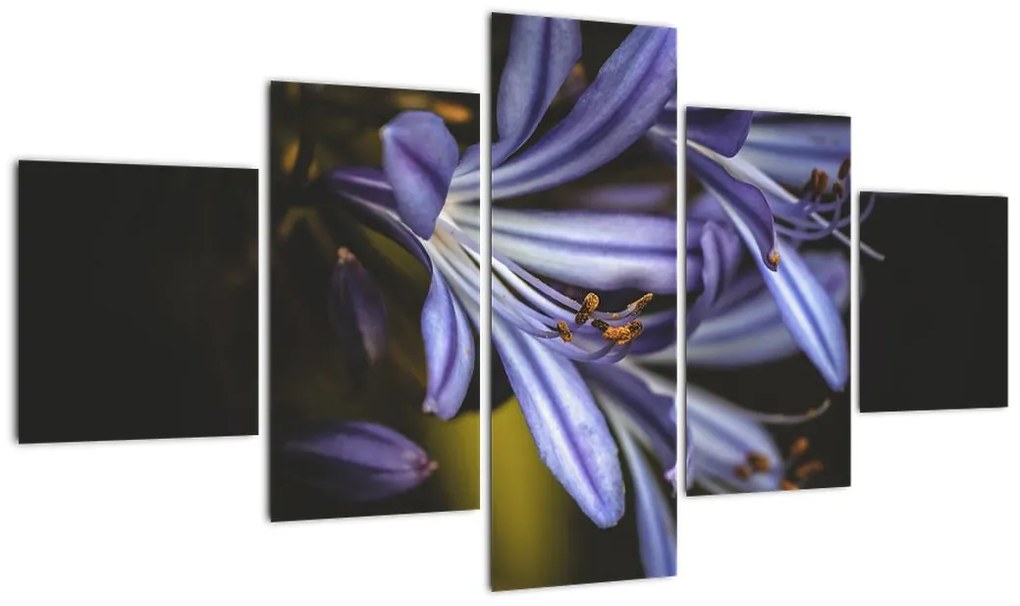 Obraz - Lilia (125x70 cm)