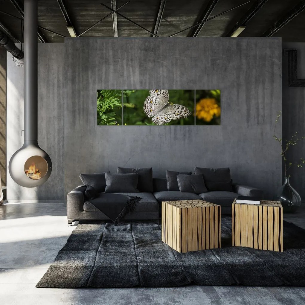 Obraz - biały motyl (170x50 cm)