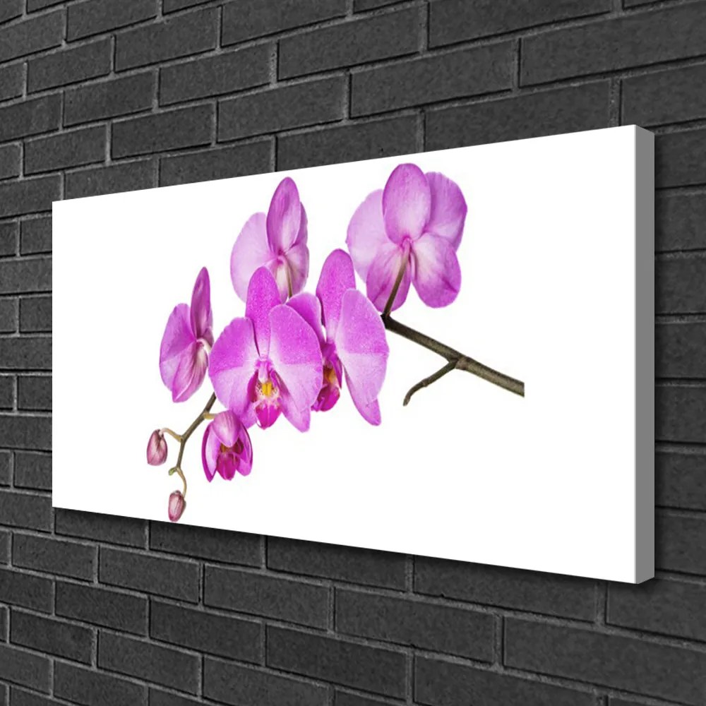 Obraz Canvas Storczyk Orchidea Kwiaty