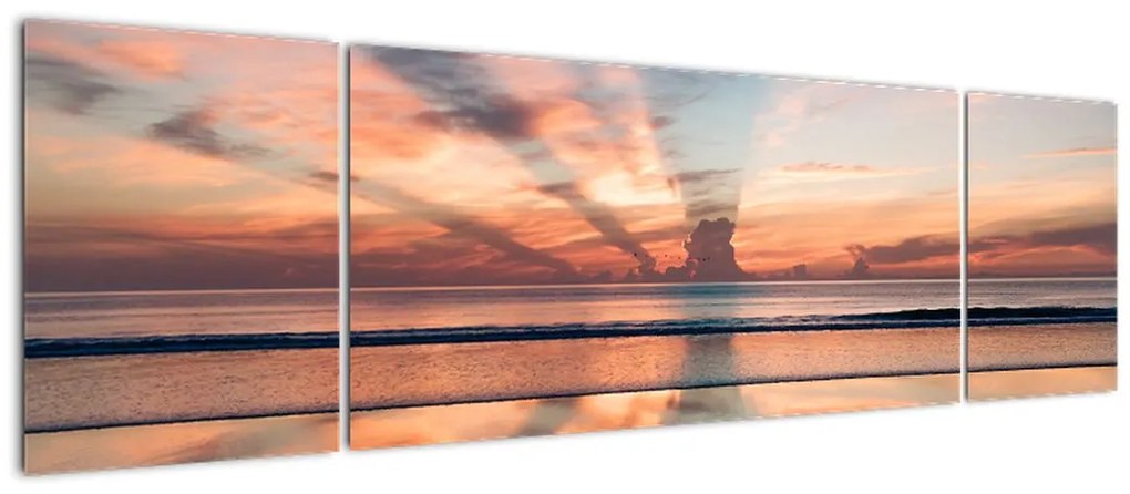 Obraz promieni słonecznych nad plażą Dayton (170x50 cm)