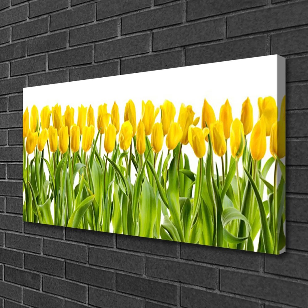 Obraz Canvas Tulipany Kwiaty Natura