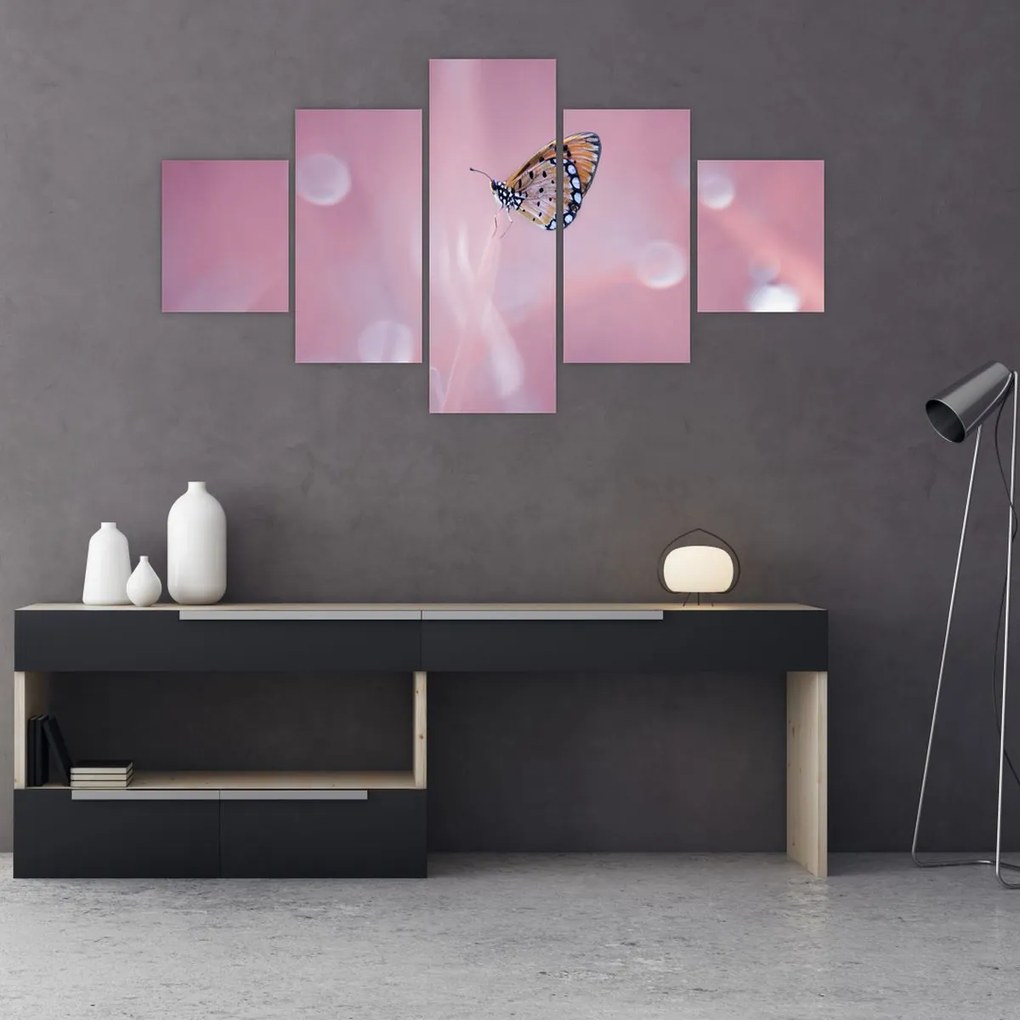Obraz - Motylek (125x70 cm)