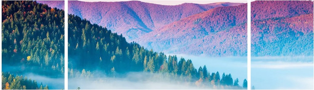 Obraz - Panorama 2 (170x50 cm)