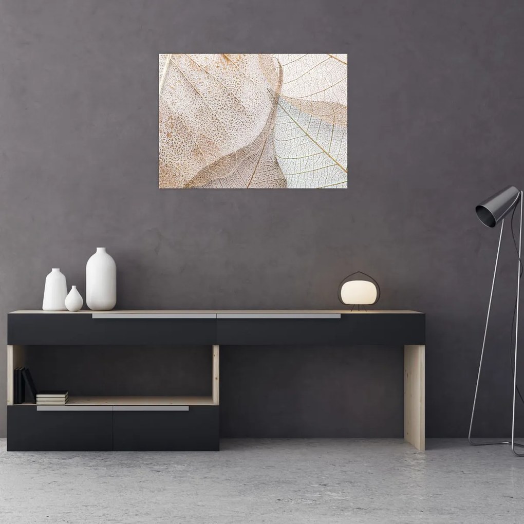 Obraz - Beżowe liście (70x50 cm)