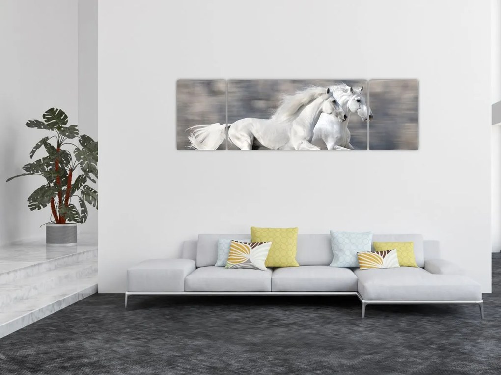 Obraz - Białe konie zimą (170x50 cm)