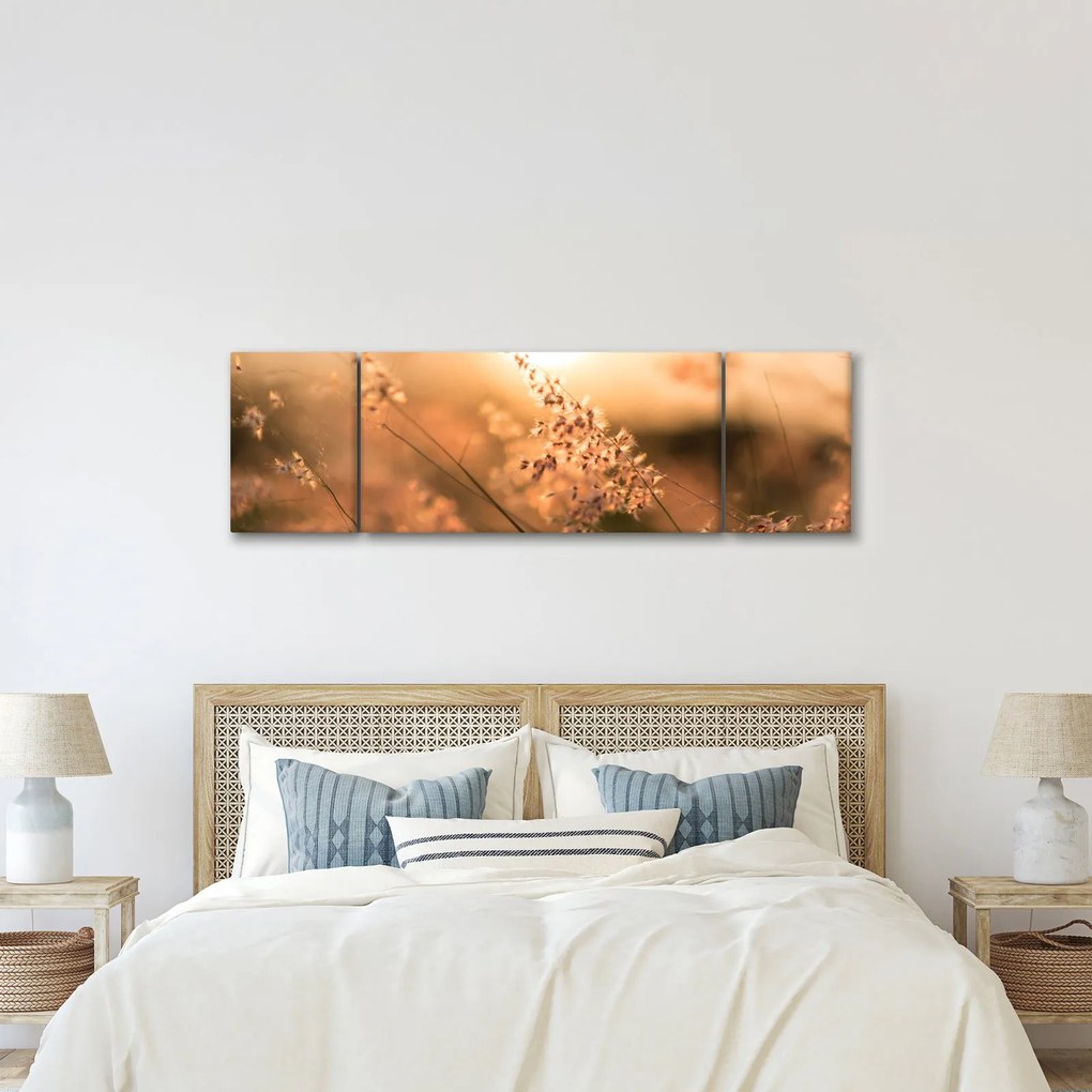 Obraz - Trawa  na słońcu (170x50 cm)