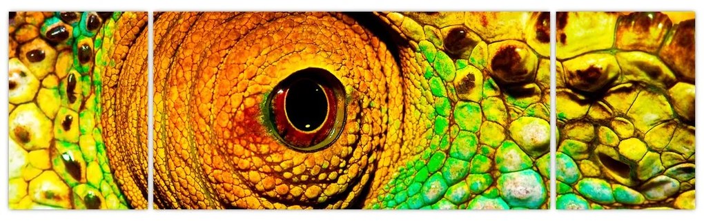 Obraz - Kameleon (170x50 cm)