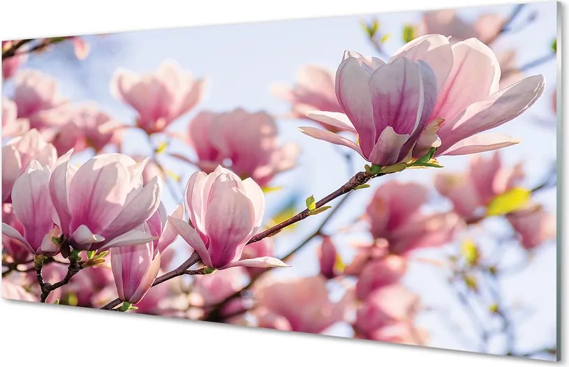 Panel nad Blat Kuchenny Płatki Magnolii