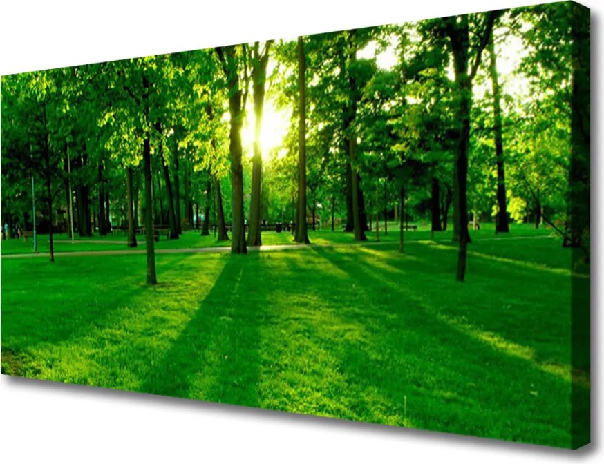 Obraz na płótnie Spokojna Aleja w Parku